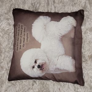 Throw Pillow
